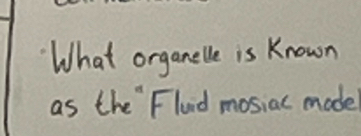 What organelle is Known 
as the "Flaid mosiac made