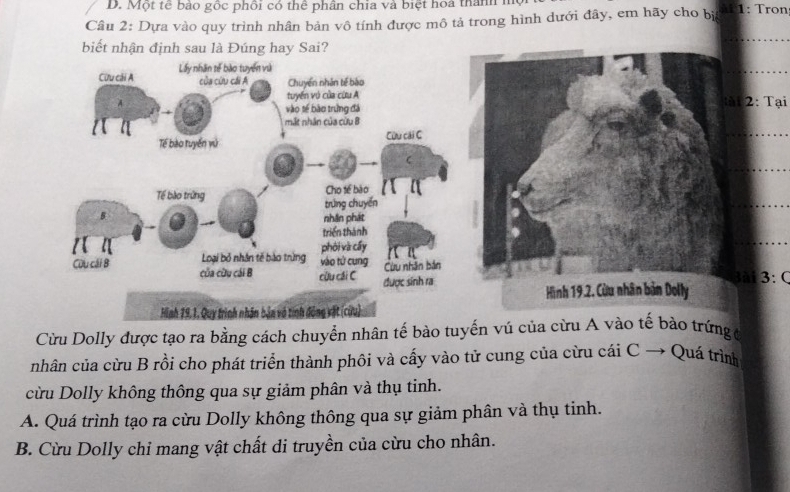 D. Một tế bảo gốc phối có thể phân chia và biệt hoa thành h
Câu 2: Dựa vào quy trình nhân bản vô tính được mô tả trong hình dưới đây, em hãy cho bị l 1: Tron
_
i 2 : Tại
_
_
_
_
3:C
Cừu Dolly được tạo ra bằng cách chuyển nhân tế bào tuyến vú của cừrứng ở
nhân của cừu B rồi cho phát triển thành phôi và cấy vào tử cung của cừu cái C → Quá trình
cừu Dolly không thông qua sự giảm phân và thụ tinh.
A. Quá trình tạo ra cừu Dolly không thông qua sự giảm phân và thụ tinh.
B. Cừu Dolly chỉ mang vật chất di truyền của cừu cho nhân.