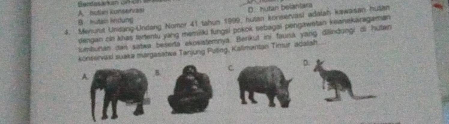 Berdasarkam on on sn
A. hutan konservasi
D. hutan belantara
4. Menuna Undang-Undang Nomor 41 tahun 1999, hutan konservasi adalah kawasan hutan
B hutan lndung
dengan cin khas tertentu yang memilki fungsi pokok sebagal pengawetan keanekäragaman
tumbuhan dan satwa beśerta ekosistemnya. Berikut ini fauna yang dilindungi di hutan
könservasi suaka margasatwa Tanjung Puting, Kallmentan Timur adalah
D.
A.
,B