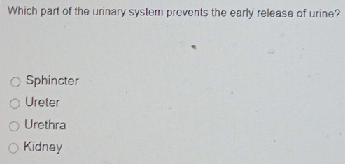 Which part of the urinary system prevents the early release of urine?
Sphincter
Ureter
Urethra
Kidney