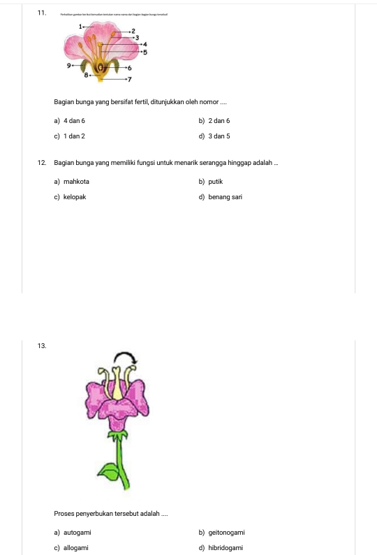 Bagian bunga vang bersifat fertil, dituniukkan oleh nomor ...
a) 4 dan 6 b) 2 dan 6
c) 1 dan 2 d) 3 dan 5
12. Bagian bunga yang memiliki fungsi untuk menarik serangga hinggap adalah ...
a) mahkota b) putik
c) kelopak d) benang sari
13.
Proses penyerbukan tersebut adalah ....
a) autogami b) geitonogami
c) allogami d) hibridogami