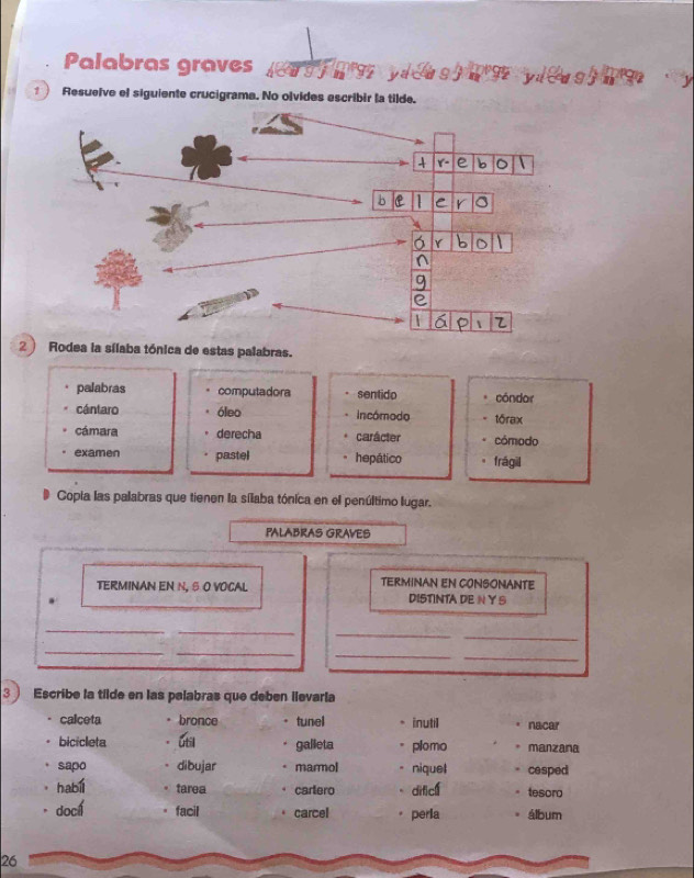 Palabras graves In
à S j n s yu á s s
1 Resuelve el siguiente crucigrama. No olvides escribir la tilde.
2 ) Rodea la sílaba tónica de estas palabras.
palabras computadora sentido cóndor
cántaro óleo Incómodo tórax
cámara derecha carácter cómodo
examen pastel hepático frágil
Copia las palabras que tienen la sílaba tónica en el penúltimo lugar.
PALABRAS GRAVES
TERMINAN EN N, § O VOCAL TERMINAN EN CONSONANTE
DISTINTA DE NY S
_
_
_
_
__
__
3  Escribe la tilde en las pelabras que deben llevarla
calceta . bronce tunel inutil nacar
bicicleta . galleta plomo manzana
sapo dibujar marmol niquel cesped
habli tarea cartero dificl tesoro
docá facil carcel perla álbum
26