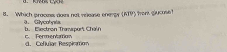 d. Krebs Cycle
8. Which process does not release energy (ATP) from glucose?
a、Glycolysis
b. Electron Transport Chain
c. Fermentation
d. Cellular Respiration