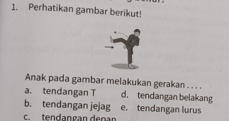 Perhatikan gambar berikut!
Anak pada gambar melakukan gerakan . . . .
a. tendangan T d. tendangan belakang
b. tendangan jejag e. tendangan lurus
c. tendangan denan