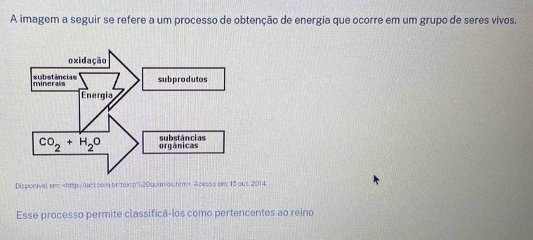 A imagem a seguir se refere a um processo de obtenção de energia que ocorre em um grupo de seres vivos.
Disponivel em:. Acesso em: 15 out. 2014.
Esse processo permite classificá-los como pertencentes ao reino