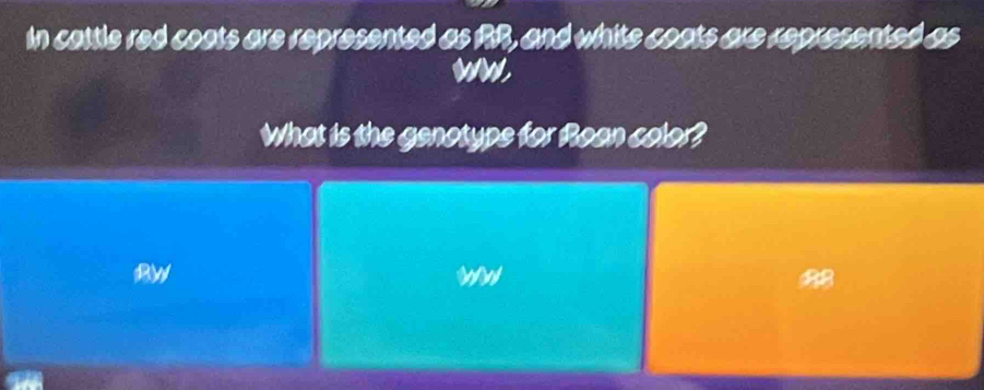 In cattle red coats are represented as RR, and white coats are represented as 
wW 
What is the genotype for Roan color? 
BW 
wW