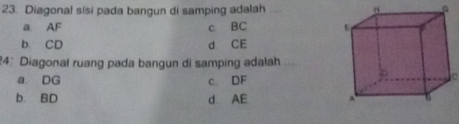 Diagonal sisi pada bangun di samping adalah_
a AF c. BC
b. CD d CE
24: Diagonal ruang pada bangun di samping adalah
a. DG c. DF
b. BD d AE