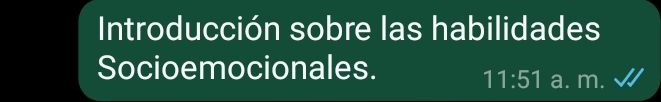 Introducción sobre las habilidades 
Socioemocionales.
11:51 a. m.