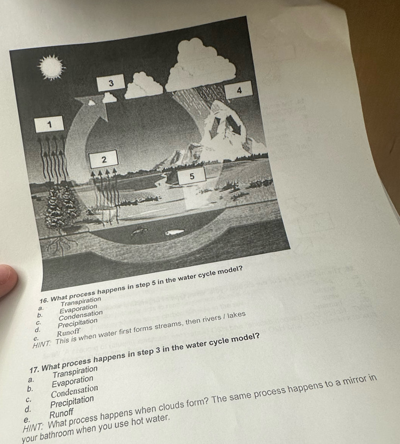 a. 
b._
d. Precipitation Condensation Evaporation
C.
HINT: This is when water first forms streams, then rivers / lakes
e. Runoff
17. What process happens in step 3 in the water cycle model?
b. Evaporation Transpiration
a.
c. Condensation
HINT: What process happens when clouds form? The same process happens to a mirror in
d. Precipitation
e. Runoff
your bathroom when you use hot water.