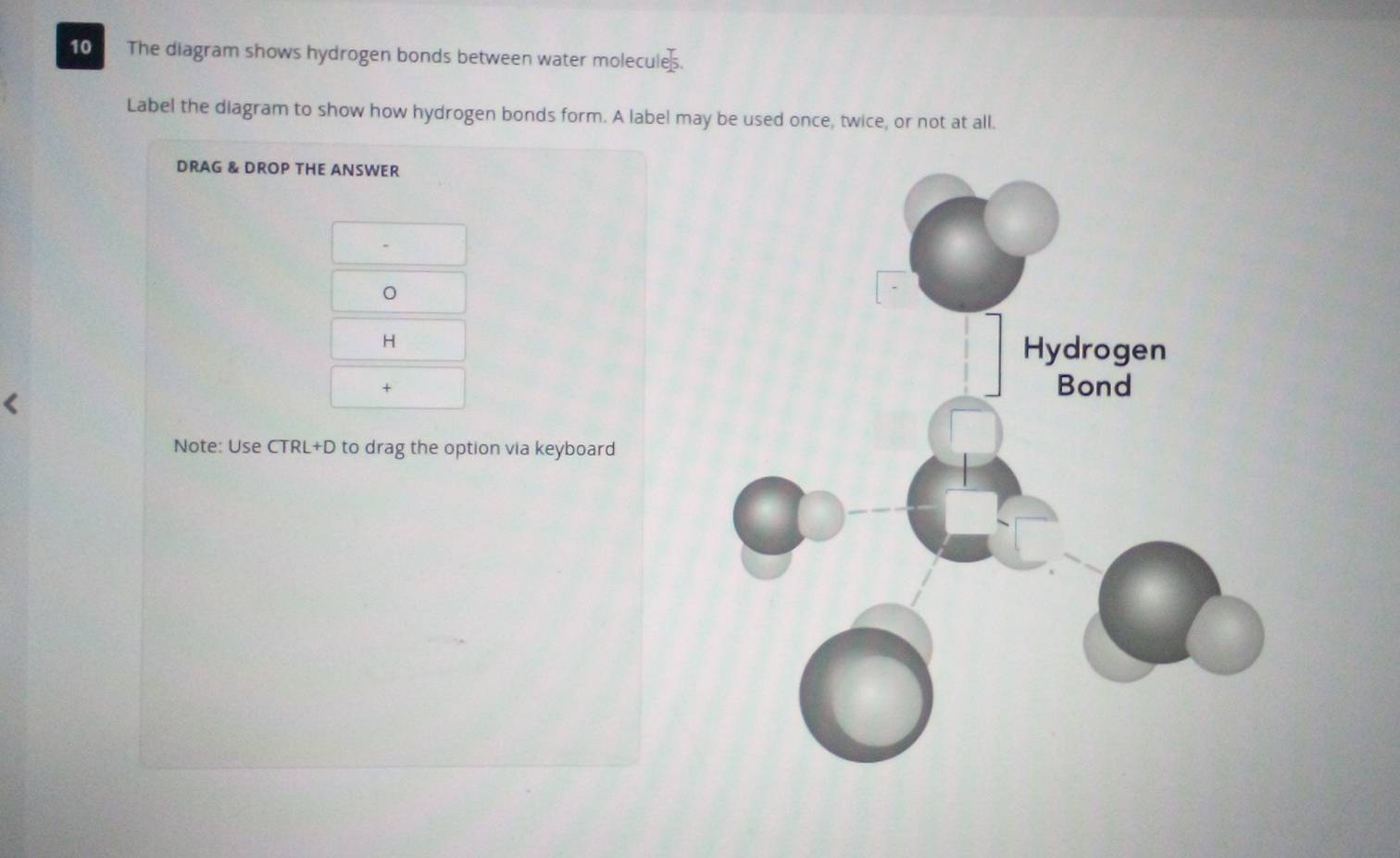 Solved: The diagram shows hydrogen bonds between water molecules. Label ...