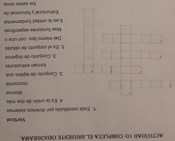 ACTIVIDAD 10: COMPLETA EL SIGUIENTE CRUCIGRAMA. 
Vertical 
1. Está constituido por diversos sistemas 
4. Es la unión de dos más 
1 
átomos 
Horizontal 
4 
2. Conjunto de tejidos que 
forman estructuras 
5 
3. Conjunto de órganos 
5. Es el conjunto de células 
( 
Del mismo tipo, con una o 
Mas funciones especificas 
6.es la unidad fundamental 
Estructural y funcional de 
los seres vivos