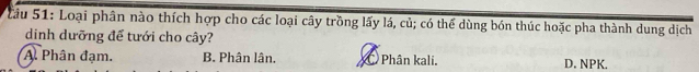 Lâu 51: Loại phân nào thích hợp cho các loại cây trồng lấy lá, củ; có thể dùng bón thúc hoặc pha thành dung dịch
dinh dưỡng để tưới cho cây?
A. Phân đạm. B. Phân lân, Phân kali. D. NPK.