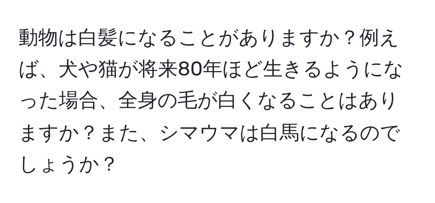 動物は白髪になることがありますか？例えば、犬や猫が将来80年ほど生きるようになった場合、全身の毛が白くなることはありますか？また、シマウマは白馬になるのでしょうか？