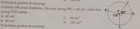 Perhatikan gambar di samping!
C
P adalah titik pusat lingkaran. Jika luas Juring PBC=60cm^2 , maka luas 
juring PAD adalah ....
A. 40cm^2
C. 90cm^2
B. 80cm^2 D. 120cm^2
Perhatikan gambar di samping!
A