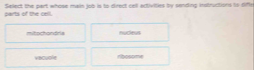 Select the part whose main job is to direct cell activities by sending instructions to diffe
parts of the cell.
mitochondria nudews
vacuble ribosome