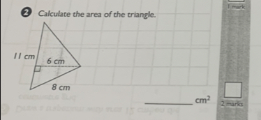 Calculate the area of the triangle. 
□ 
_ cm^2 2 marks