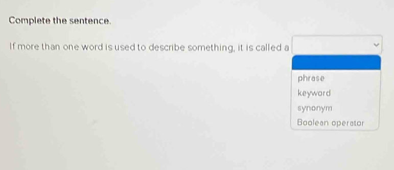 Complete the sentence.
If more than one word is used to describe something, it is called a □ vee
phrase
keyword
synonym
Boolean operator