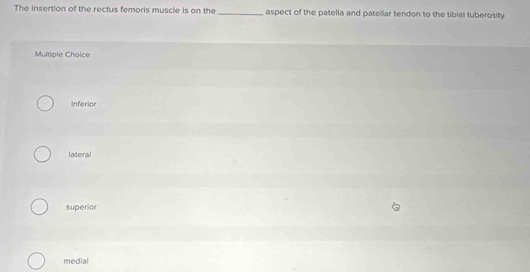 The insertion of the rectus femoris muscle is on the_ aspect of the patella and patellar tendon to the tibial tuberosity.
Multiple Choice
inferior
lateral
superior
medial