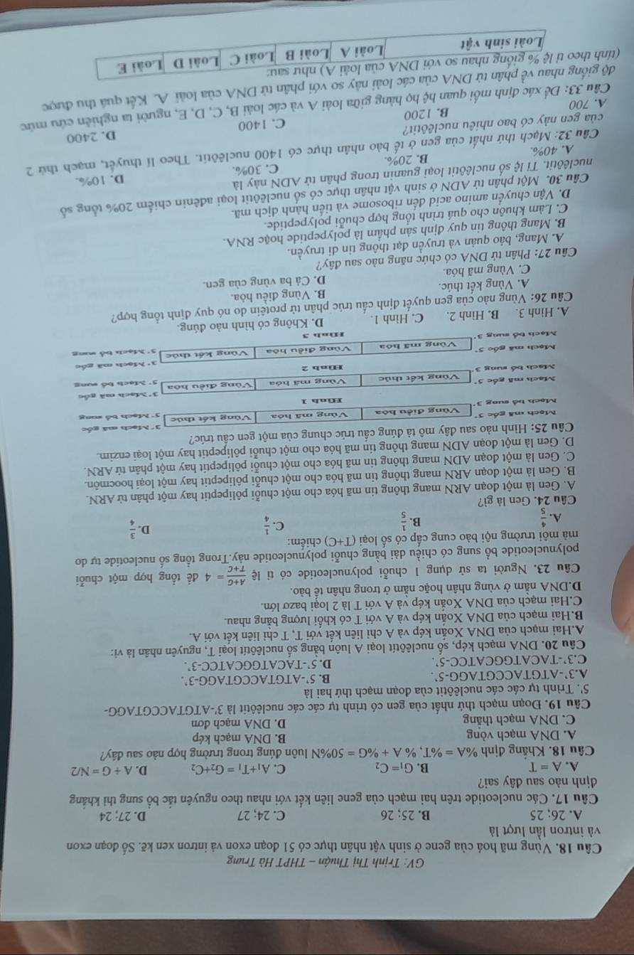 GV: Trịnh Thị Thuận - THPT Hà Trưng
Câu 18. Vùng mã hoá của gene ở sinh vật nhân thực có 51 đoạn exon và intron xen kẽ. Số đoạn exon
và intron lần lượt là
A. 26; 25 B. 25: 26 C. 24; 27 D. 27; 24
Cầu 17. Các nucleotide trên hai mạch của gene liên kết với nhau theo nguyên tắc bổ sung thì khắng
đdịnh nào sau đây sai?
B.
A. A=T G_1=C_2 C. A_1+T_1=G_2+C_2 D. A+G=N/2
Câu 18. Khẳng định % A=% T ,% A+% G=50% N đuôn đúng trong trường hợp nào sau đây?
A. DNA mạch vòng B. DNA mạch kép
C. DNA mạch thẳng D. DNA mach đơn
Câu 19. Đoạn mạch thứ nhất của gen có trình tự các các nuclêôtit là 3'-ATGTACCGTAGG-
S'. Trình tự các các nuclêôtit của đoạn mạch thứ hai là
A.3`-ATGTACCGTAGG-5`. B. 5 -ATGTACCGTAGG-3°.
C.3’-TACATGGCATCC-5’. D. 5’-TACATGGCATCC-3’.
Câu 20. DNA mạch kép, số nuclêôtít loại A luôn bằng số nuclêôtít loại T, nguyên nhân là vi:
A.Hai mạch của DNA Xoắn kép và A chỉ liên kết với T, T chỉ liên kết với A.
B.Hai mạch của DNA Xoắn kép và A với T có khối lượng bằng nhau.
C.Hai mạch của DNA Xoắn kép và A với T là 2 loại bazơ lớn.
D.DNA nằm ở vùng nhân hoặc nằm ở trong nhân tế bào.
Câu 23. Người ta sử dụng 1 chuỗi polynucleotide có tỉ lệ  (A+C)/T+C =4 để tổng hợp một chuỗi
polynucleotide bổ sung có chiều dài bằng chuỗi polynucleotide này.Trong tổng số nucleotide tự do
mà môi trường nội bào cung cấp có số loại (T+C) chiểm:
A.  4/5 
B.
D.
C.  1/4   3/4 
Cầu 24. Gen là gì?
A. Gen là một đoạn ARN mang thông tin mã hóa cho một chuỗi pôlipeptit hay một phân tử ARN.
B. Gen là một đoạn ARN mang thông tin mã hóa cho một chuỗi pôlipeptit hay một loại hoocmôn.
C. Gen là một đoạn ADN mang thông tin mã hóa cho một chuỗi pôlipeptit hay một phân tử ARN.
D. Gen là một đoạn ADN mang thông tin mã hóa cho một chuỗi pôlipeptit hay một loại enzim.
Câu 25: Hình nào sau đây mô tả đúng cầu trúc chung của một gen cầu trúc?
Mạch mã gốc 5 3'Mạch mã gốc
Mạch bổ sung 3 Vùng điều hóa Vùng mã hóa Vùng kết thúc Mạch bỏ sung
Hình 1
3° Mach mã nóc
Mạch mã gốc 5ª Vùng kết thúc Vùng mã hóa Vùng điều hòa 5° Mạch bổ sung
Mạch bố sung 3 Hnh 2
3°
Mạch mã gốc 5ª Vùng mã hóa Vùng điều hóa Vùng kết thúc * Mạch mã gốc
5°
Mạch bổ sung 3  Mạch bỏ sung
Hình 3
A. Hinh 3. B. Hình 2. C. Hình 1. D. Không có hình nào đúng.
Câu 26: Vùng nào của gen quyết định cấu trúc phân tử protêin do nó quy định tổng hợp?
A. Vùng kết thúc. B. Vùng điều hòa.
C. Vùng mã hóa. D. Cả ba vùng của gen.
Câu 27: Phân tử DNA có chức năng nào sau đây?
A. Mang, bảo quản và truyền đạt thông tin di truyền.
B. Mang thông tin quy định sản phẩm là polypeptide hoặc RNA.
C. Làm khuôn cho quá trình tổng hợp chuỗi polypeptide.
D. Vận chuyển amino acid đến ribosome và tiến hành dịch mã.
Câu 30. Một phân tử ADN ở sinh vật nhân thực có số nuclêôtit loại ađênin chiếm 20% tổng số
nuclêôtit. Tỉ lệ số nuclêôtit loại guanin trong phân tử ADN này là
D. 10%.
A. 40%. B. 20%. C. 30%.
Cầu 32: Mạch thứ nhất của gen ở tế bào nhân thực có 1400 nuclêôtit. Theo lí thuyết, mạch thứ 2
của gen này có bao nhiêu nuclêôtit?
D. 2400
A. 700 B. 1200 C. 1400
Câu 33: Để xác định mối quan hệ họ hàng giữa loài A và các loài B, C, D, E, người ta nghiên cứu mức
độ giống nhau về phân từ DNA của các loài này so với phân tử DNA của loài A. Kết quá thu được
(tính theo tỉ lệ % giống nhau so với DNA của loài A) như sau:
Loài sinh vật Loài A Loài B Loài C Loài D Loài E