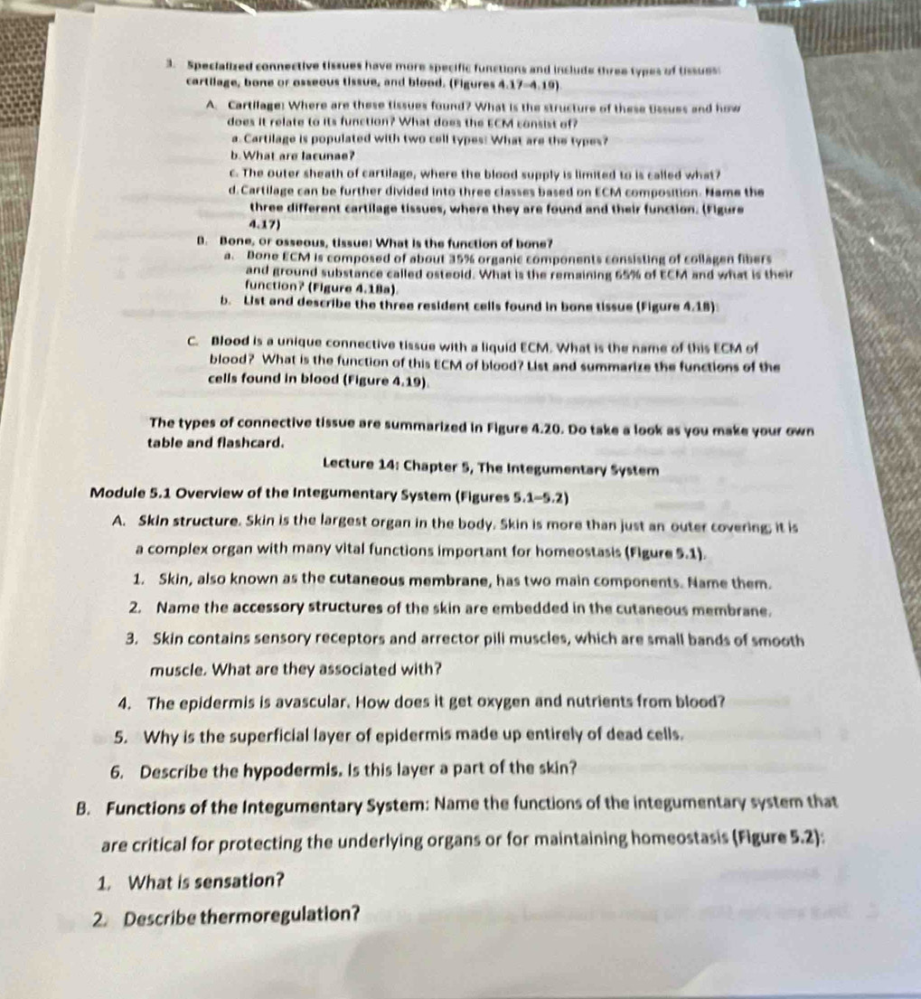 Specialized connective tissues have more specific functions and include three types of tissues
cartllage, bone or osseous tissue, and blood. (Figures 4.17-4.19).
A. Cartilage: Where are these tissues found? What is the structure of these tissues and how
does it relate to its function? What does the ECM consist of?
a. Cartilage is populated with two cell types: What are the types?
b. What are lacunae?
c. The outer sheath of cartilage, where the blood supply is limited to is called what?
d. Cartilage can be further divided into three classes based on ECM composition. Name the
three different cartilage tissues, where they are found and their function. (Figure
4.17)
B. Bone, or osseous, tissue! What is the function of bone?
a. Bone ECM is composed of about 35% organic components consisting of collagen fibers
and ground substance called osteold. What is the remaining 65% of ECM and what is their
function? (Figure 4.18a).
b. List and describe the three resident cells found in bone tissue (Figure 4.18)
C. Blood is a unique connective tissue with a liquid ECM. What is the name of this ECM of
blood? What is the function of this ECM of blood? List and summarize the functions of the
cells found in blood (Figure 4.19).
The types of connective tissue are summarized in Figure 4.20. Do take a look as you make your own
table and flashcard.
Lecture 14: Chapter 5, The Integumentary System
Module 5.1 Overview of the Integumentary System (Figures 5.1-5.2)
A. Skin structure. Skin is the largest organ in the body. Skin is more than just an outer covering; it is
a complex organ with many vital functions important for homeostasis (Figure 5.1).
1. Skin, also known as the cutaneous membrane, has two main components. Name them.
2. Name the accessory structures of the skin are embedded in the cutaneous membrane.
3. Skin contains sensory receptors and arrector pili muscles, which are small bands of smooth
muscle. What are they associated with?
4. The epidermis is avascular. How does it get oxygen and nutrients from blood?
5. Why is the superficial layer of epidermis made up entirely of dead cells.
6. Describe the hypodermis. Is this layer a part of the skin?
B. Functions of the Integumentary System: Name the functions of the integumentary system that
are critical for protecting the underlying organs or for maintaining homeostasis (Figure 5.2):
1. What is sensation?
2. Describe thermoregulation?