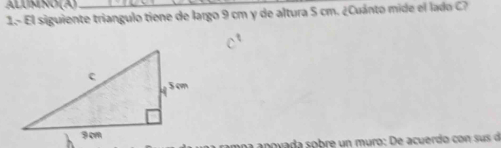 ALUMNO (A)_ 
1.- El siguiente triangulo tiene de largo 9 cm y de altura 5 cm. ¿Cuánto mide el lado 
a n a a povada sobre un muro: De acuerdo con su s d