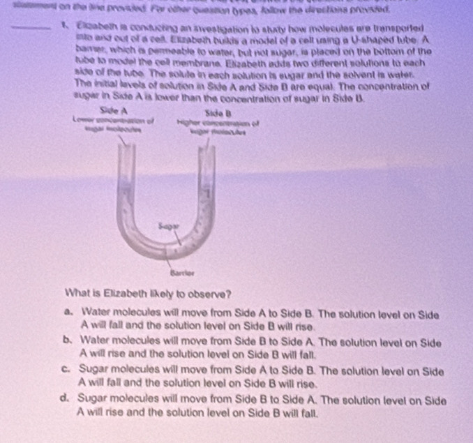 stutsment on the line proviuled. For other question types, follow the directions provided,
_1. Elizabeth is conducting an ivestigation to sturty how molecules are transported
sto and out of a cel. Elizabeth buikis a model of a cell vsing a U-shaped tube. A
bamer, which is permeable to water, but not sugar, is placed on the bottom of the
tube to model the cell membrane. Elizabeth adds two different solutions to each
side of the tube. The solute in each solution is sugar and the solvent is water.
The initial levels of solution in Side A and Side B are equal. The concentration of
augar in Side A is lower than the concentration of sugar in Side B.
What is Elizabeth likely to observe?
a. Water molecules will move from Side A to Side B. The solution level on Side
A will fall and the solution level on Side B will rise.
b. Water molecules will move from Side B to Side A. The solution level on Side
A will rise and the solution level on Side B will fall.
c. Sugar molecules will move from Side A to Side B. The solution level on Side
A will fall and the solution level on Side B will rise.
d. Sugar molecules will move from Side B to Side A. The solution level on Side
A will rise and the solution level on Side B will fall.