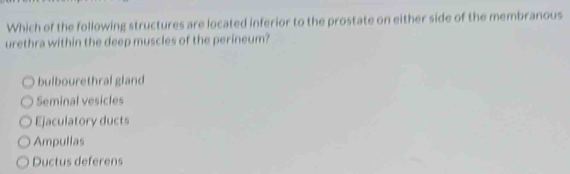 Which of the following structures are located inferior to the prostate on either side of the membranous
urethra within the deep muscles of the perineum?
bulbourethral gland
Seminal vesicles
Ejaculatory ducts
Ampullas
Ductus deferens