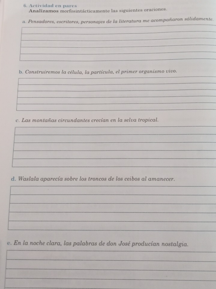 Actividad en pares 
Analizamos morfosintácticamente las siguientes oraciones. 
a. Pensadores, escritores, personajes de la literatura me acompañaron sólidamente. 
b. Construiremos la célula, la partícula, el primer organismo vivo. 
c. Las montañas circundantes crecían en la selva tropical. 
d. Waslala aparecía sobre los troncos de los ceibos al amanecer. 
e. En la noche clara, las palabras de don José producían nostalgia.