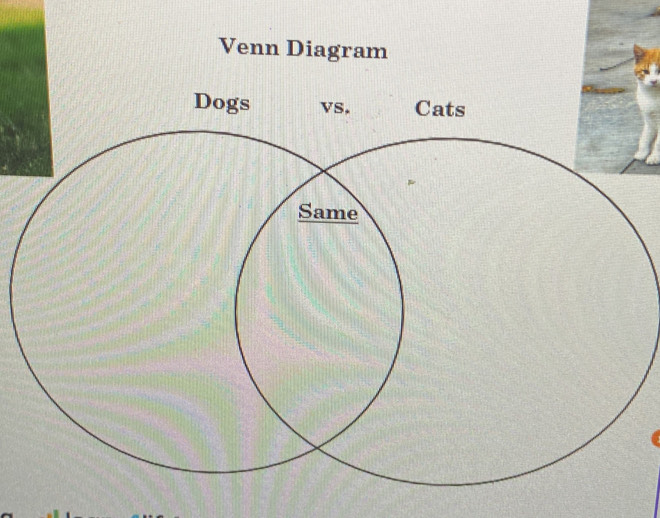 Venn Diagram