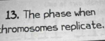 The phase when 
thromosomes replicate.