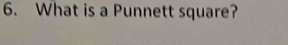 What is a Punnett square?