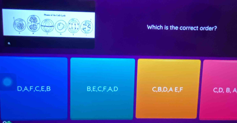 Which is the correct order?
D, A, F, C, E, B B, E, C, F, A, D C, B, D, A E, F C, D, B, A