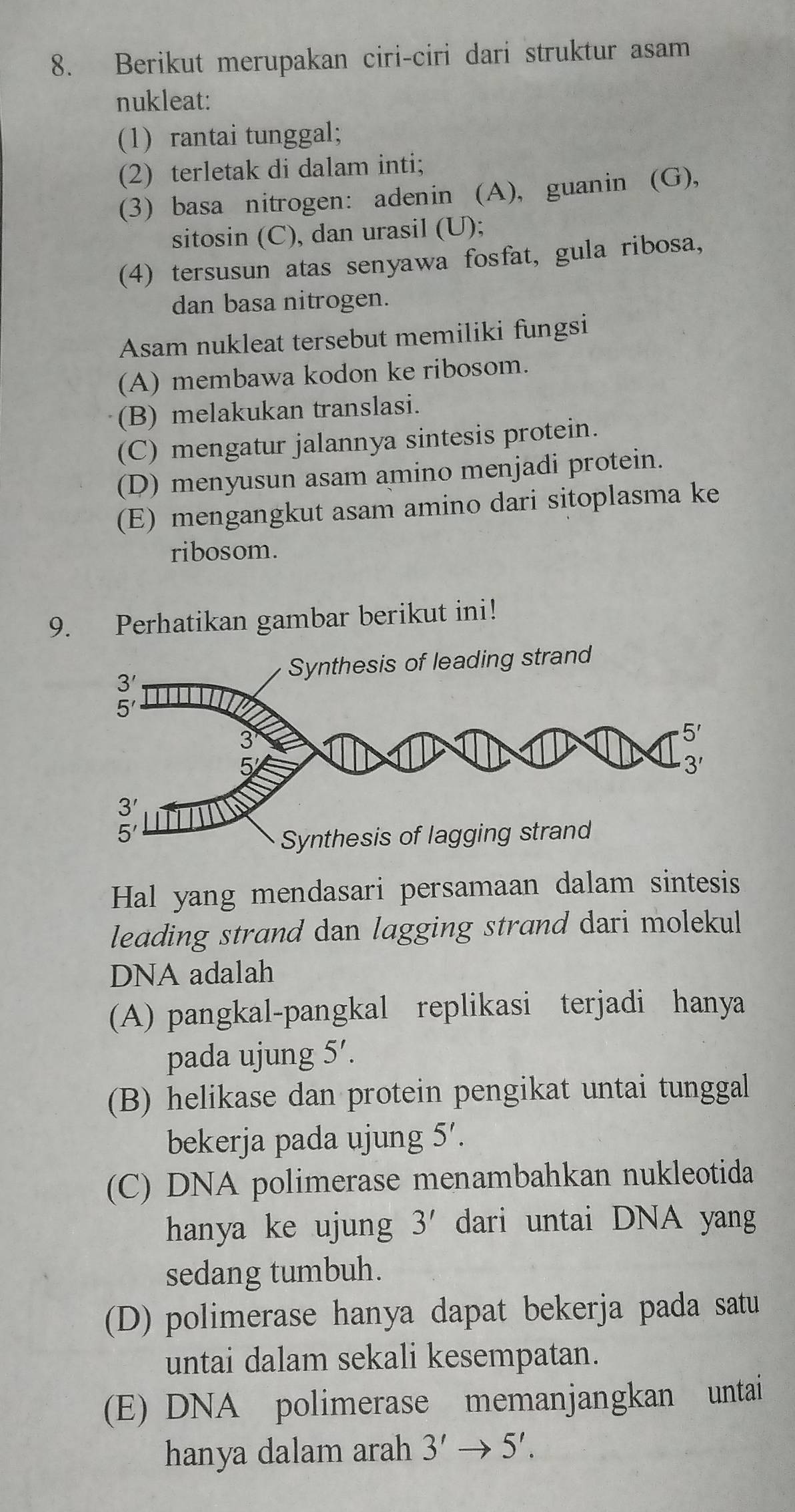 Berikut merupakan ciri-ciri dari struktur asam
nukleat:
(1) rantai tunggal;
(2) terletak di dalam inti;
(3) basa nitrogen: adenin (A), guanin (G),
sitosin (C), dan urasil (U);
(4) tersusun atas senyawa fosfat, gula ribosa,
dan basa nitrogen.
Asam nukleat tersebut memiliki fungsi
(A) membawa kodon ke ribosom.
(B) melakukan translasi.
(C) mengatur jalannya sintesis protein.
(D) menyusun asam amino menjadi protein.
(E) mengangkut asam amino dari sitoplasma ke
ribosom.
9. Perhatikan gambar berikut ini!
Hal yang mendasari persamaan dalam sintesis
leading strand dan lagging strand dari molekul
DNA adalah
(A) pangkal-pangkal replikasi terjadi hanya
pada ujung 5'.
(B) helikase dan protein pengikat untai tunggal
bekerja pada ujung 5'.
(C) DNA polimerase menambahkan nukleotida
hanya ke ujung 3' dari untai DNA yang
sedang tumbuh.
(D) polimerase hanya dapat bekerja pada satu
untai dalam sekali kesempatan.
(E) DNA polimerase memanjangkan untai
hanya dalam arah 3'to 5'.