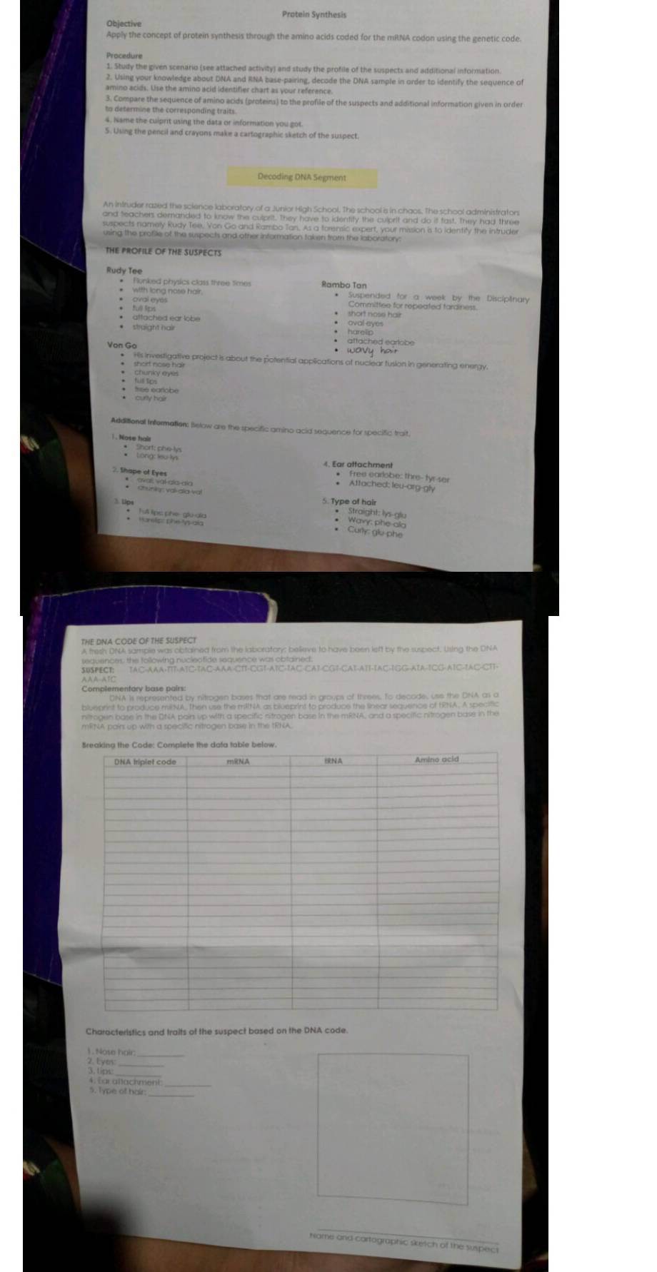 Protein Synthesis
Objective
Apply the concept of protein synthesis through the amino acids coded for the mRNA codon using the genetic code.
1. Study the given scenario (see attached activity) and study the profile of the suspects and additional information.
2. Using your knowledge about DNA and RNA base-pairing, decode the DNA sample in order to identify the sequence of
amino acids. Use the amino acid identifier chart as your reference
3. Compare the sequence of amino acids (proteins) to the profile of the suspects and additional information given in order
to determine the corresponding traits
4. Name the culprit using the data or information you got.
5. Using the pencil and crayons make a cartographic sketch of the suspect
Decoding DNA Segment
THE PROFILE OF THE SUSPECTS
Rudy Tee
* Runked physics class three times Rambo Tan
*  with long nose hair. * Suspended for a week by the Disciplinary
oval eyes Committee for repeated tardiness.
full 3ps  short nose hair 
attached ear lobe
: Sg
* attached earlobe
* wavy hair
*  Hs investigative project is about the potential applications of nuclear fusion in generating energy.
*  short nose hair
: _  
Additional Infermation: Below are the specific amino acid sequence for specific trait
. Nose hals
. or aftachmeobe: thre- tyr-ser
Attached: leu-arg-gly
3. lips
5. Type of hair
THE DNA CODE OF THE SUSPECT
A tresh DNA sample was obtained from the laboratory; believe to have been left by the suspect. Using the DNA
sequences: the following nucleofide sequence was obtained:
$USPECT: TAC-AAA-TTT-ATC-TAC-AAA-CTT-CGT·ATC-TAC-CAT-CGT-CAT-ATT-TAC-TGG-ATA-TCG-ATC-1AC-CTT-
AAA-ATC
Complementary base pairs:
nitrogen base in the DNA pair up with a specific nitrogen base in the mRNA, and a specific nitrogen base in the
mRNA pairs up with a specific nitrogen base in the tRNA.
Characteristics and traits of the suspect based on the DNA code
1. Nose hair:
3 h_
4. Lar ahachment_
5. Type of hair
_
Name and cartographic skeich of the suspec