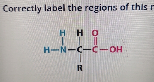 Correctly label the regions of this n