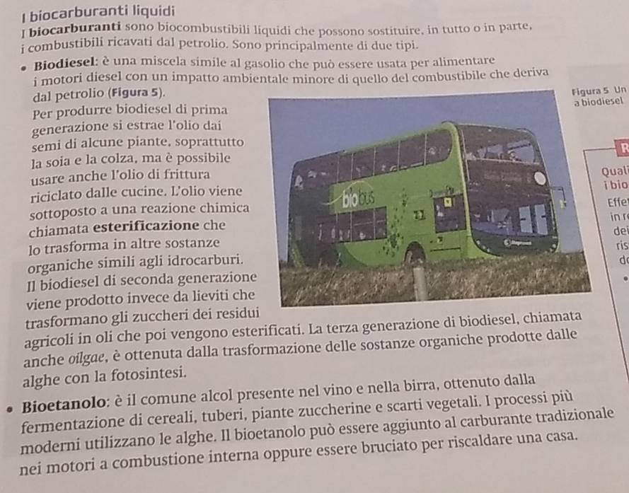 biocarburanti liquidi 
I biocarburanti sono biocombustibili liquidi che possono sostituire, in tutto o in parte, 
i combustibili ricavati dal petrolio. Sono principalmente di due tipi. 
Biodiesel: è una miscela simile al gasolio che può essere usata per alimentare 
i motori diesel con un impatto ambientale minore di quello del combustibile che deriva 
dal petrolio (Figura 5). 
5 Un 
Per produrre biodiesel di prima 
generazione si estrae l'olio daiesel 
semi di alcune piante, soprattutto 
la soia e la colza, ma è possibile R 
usare anche l’olio di frittura 
ual 
riciclato dalle cucine. L’olio viene 
sottoposto a una reazione chimica bio Effe 
chiamata esterificazione chein r 
de 
lo trasforma in altre sostanzeris 
organiche simili agli idrocarburi. 
d 
Il biodiesel di seconda generazion 
viene prodotto invece da lieviti ch 
trasformano gli zuccheri dei resid 
agricoli in oli che poi vengono esterificati. La terza generazione di biodiesel, chiamata 
anche oilgae, è ottenuta dalla trasformazione delle sostanze organiche prodotte dalle 
alghe con la fotosintesi. 
Bioetanolo: è il comune alcol presente nel vino e nella birra, ottenuto dalla 
fermentazione di cereali, tuberi, piante zuccherine e scarti vegetali. I processi più 
moderni utilizzano le alghe. Il bioetanolo può essere aggiunto al carburante tradizionale 
nei motori a combustione interna oppure essere bruciato per riscaldare una casa.