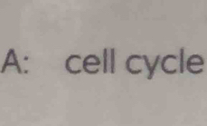 A: cell cycle