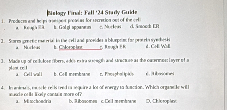 Biology Final: Fall ‘24 Study Guide
1. Produces and helps transport proteins for secretion out of the cell
a. Rough ER b. Golgi apparatus c. Nucleus d. Smooth ER
2. Stores genetic material in the cell and provides a blueprint for protein synthesis
a. Nucleus b. Chloroplast c. Rough ER d. Cell Wall
3. Made up of cellulose fibers, adds extra strength and structure as the outermost layer of a
plant cell
a. Cell wall b. Cell membrane c. Phospholipids d. Ribosomes
4. In animals, muscle cells tend to require a lot of energy to function. Which organelle will
muscle cells likely contain more of?
a. Mitochondria b. Ribosomes c.Cell membrane D. Chloroplast