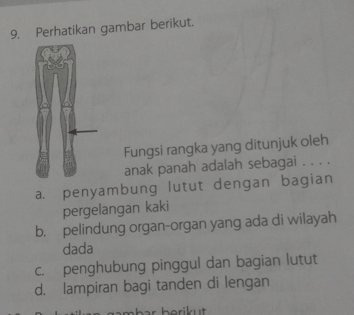 Perhatikan gambar berikut.
Fungsi rangka yang ditunjuk oleh
anak panah adalah sebagai . . . .
a. penyambung lutut dengan bagian
pergelangan kaki
b. pelindung organ-organ yang ada di wilayah
dada
c. penghubung pinggul dan bagian lutut
d. lampiran bagi tanden di lengan
bar berikut