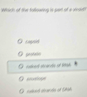 Which of the tollowkng 's pan of a vuoid?
á s t e
emsloge
suró scéa d NA