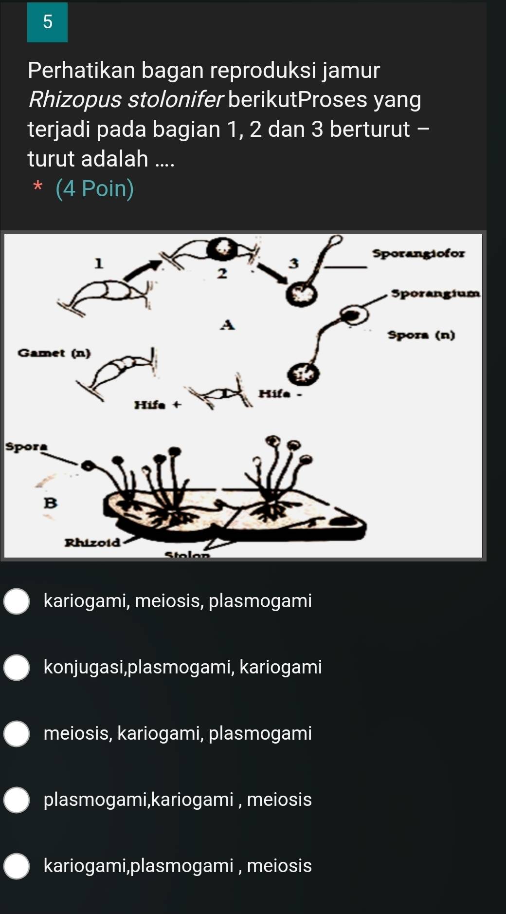 Perhatikan bagan reproduksi jamur
Rhizopus stolonifer berikutProses yang
terjadi pada bagian 1, 2 dan 3 berturut -
turut adalah ....
* (4 Poin)
Spora
kariogami, meiosis, plasmogami
konjugasi,plasmogami, kariogami
meiosis, kariogami, plasmogami
plasmogami,kariogami , meiosis
kariogami,plasmogami , meiosis