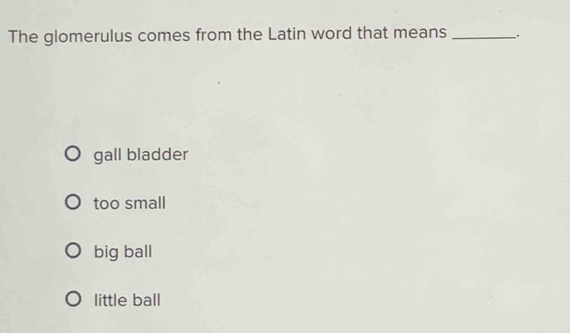 The glomerulus comes from the Latin word that means _.
gall bladder
too small
big ball
little ball