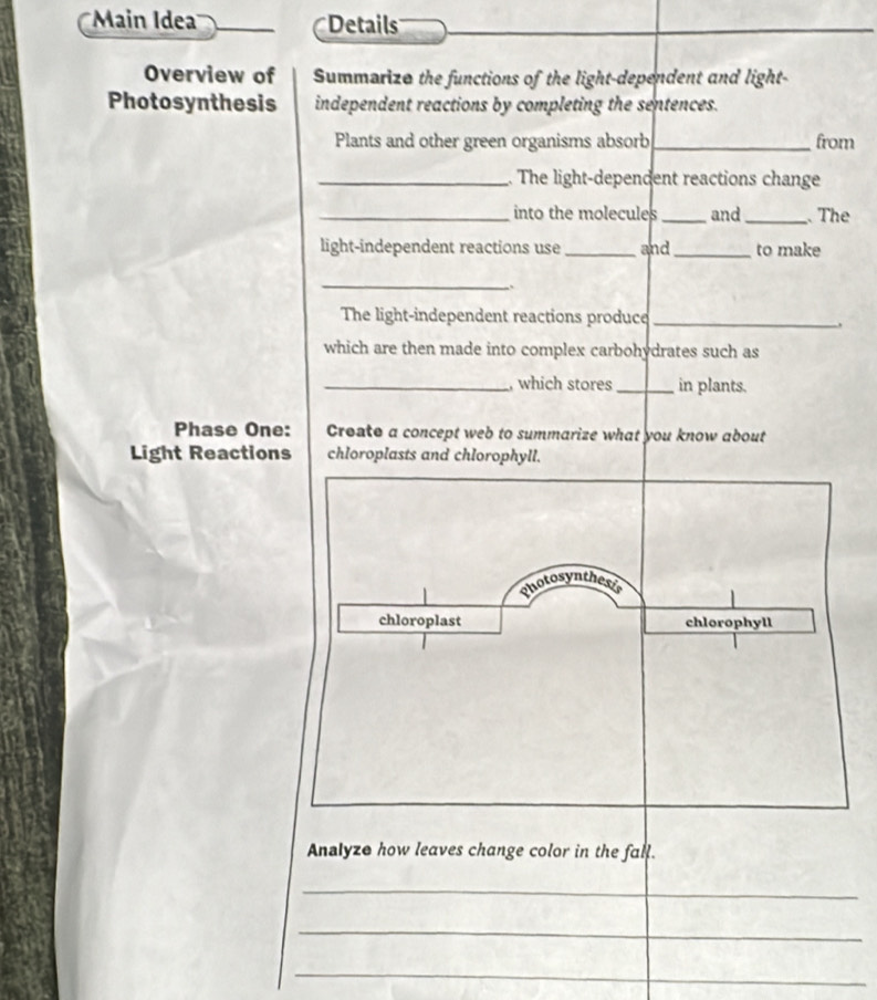Main Idea' *Details 
Overview of Summarizo the functions of the light-dependent and light- 
Photosynthesis independent reactions by completing the sentences. 
Plants and other green organisms absorb _from 
_. The light-dependent reactions change 
_into the molecules _and_ The 
light-independent reactions use _and_ to make 
_ 
The light-independent reactions produce_ 
which are then made into complex carbohydrates such as 
_, which stores _in plants. 
Phase One: Create a concept web to summarize what you know about 
Light Reactions chloroplasts and chlorophyll. 
Analyze how leaves change color in the fall. 
_ 
_ 
_