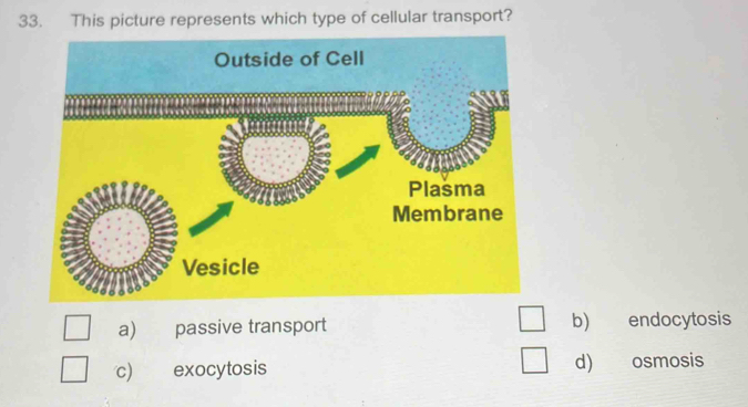 This picture represents which type of cellular transport?
a) passive transport b) endocytosis
c) exocytosis d) osmosis