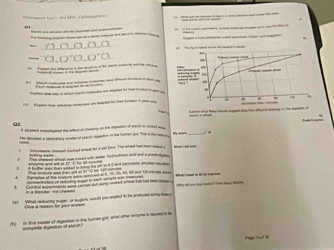 Momewark four - Bip Mol - Carbohydrates
(1) What was the pursose of map 2, in which senpiss wors coned ith wser
hysochions askd and eepa 
Q1
Starch and cailuioss are two imperiant plant polysaschandes (d) in the contrl experenaols, anuked wasst was snpped up to copy im effe) of
shewins
Thae fullewins disonion shows par of a sittveh moliteuse and pan of a csliutals maisus
tugaeet a more eppesirste curtut expentent. Expiain your suggession
z
_
(a) The figuns belew chowe the stsaent's cssults
_
(4)  Dplai the difference in the structure of the starch molacule and the cellvloe
moleculs shown in the diagram stove 
(b) Starch molecules and colluloss moleculss have different functions in past csls
Each motacule is adapted for its function
Explain one way in which starch molacules are adapted for their funoflut in plart ss
(c) Explain how collulose molecules are adapted for their funstion in plant cells
( 1 calTs Explain what these reaidts auggest about the effect of showing on the digeassin of
starch in wheat
Q2. Cutal à markn
A student investigated the effect of chewing on the digestion of starch in cooked whas
He devised a laporatory model of starch digestion in the human gut. This is the mehed My scare_ / 16
used
1. Volunteers chewed cooked wheat for a set time. The wheat had been coaked is What I did well;
boiling water.
2. This chowed wheat was mixed with water, hydrochloric acid and a protain-digesin
enzyme and left at 37°C for 30 minutes
3. A buffer was then added to bring the pH to 6.0 and pancreatic amylase was assse
This mixture was then left at 37°C for 120 minutes
4 Samples of the mixture were removed at 0. 10 20, 40, 60 and 120 minmes, and 
conceritration of reducing sugar in each sample was measured What I need to do to improve
(Why did you inse marks? Think about WURR)
5 Control experiments were carried out using cooked wheat that had been moes 
in a blender, not chewed.
(a) What reducing sugar, or sugars, would you expect to be produced during theeng?
Give a reason for your answer
(b) In this model of digestion in the human gut, what other enzyme is required for the
complete digastion of starch?
Pege 14 of 5
o l  5 0