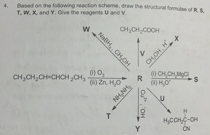 Based on the following reaction scheme, draw the structural formulae of R. S.
T, W, X, and Y. Give the reagents U and V.
CH_3CH_2CH=CHCH_2CH_3frac (I)O_3(Ii)Zn,H_2O