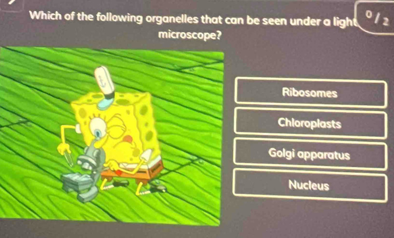 Which of the following organelles that can be seen under a light
0 / 2
microscope?
Ribosomes
Chioroplasts
Golgi apparatus
Nucleus