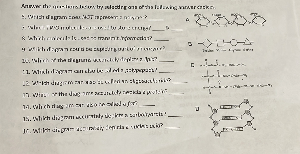 Answer the questions below by selecting one of the following answer choices.
6. Which diagram does NOT represent a polymer? _HOCH HoCH、  HOCH
A
7. Which TWO molecules are used to store energy? _&_
h
8. Which molecule is used to transmit information?_
B
9. Which diagram could be depicting part of an enzyme? _Proline Valine Glycine Serine
10. Which of the diagrams accurately depicts a lipid?_
C
11. Which diagram can also be called a polypeptide?_
12. Which diagram can also be called an oligosaccharide?_
13. Which of the diagrams accurately depicts a protein?_
14. Which diagram can also be called a fat?_
D
15. Which diagram accurately depicts a carbohydrate?_
16. Which diagram accurately depicts a nucleic acid?_