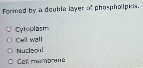 Formed by a double layer of phospholipids.
Cytoplasm
Cell wall
Nucleoid
Cell membrane