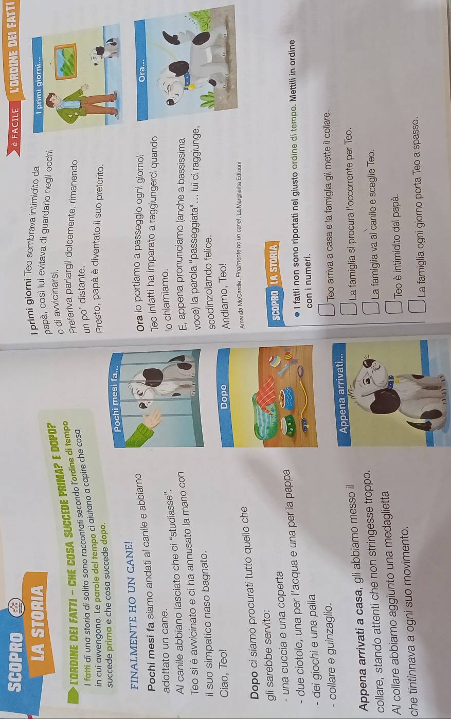 SCOPRO   FACILE  L'ORDINE DEI FATtI
LA STORIA
I  primi giorni Teo sembrava intimidito da
papà, così lui evitava di guardarlo negli occhi
* L'ORDINE DEI FATTI - CHE COSA SUCCEDE PRIMA? E DOPO?
Preferiva parlargli dolcemente, rimanendo
I fatti di una storia di solito sono raccontati secondo l’ordine di tempo o di awvicinarsi.
un po' distante.
in cui avvenaono. Le parole del tempo ci aiutano a capire che cosa
Presto, papà è diventato il suo preferito.
succede prima e che cosa succede dopo.
FINALMENTE HO UN CANE!
Pochi mesi fa siamo andati al canile e abbiamo
Ora lo portiamo a passeggio ogni giorno!
Teo infatti ha imparato a raggiungerci quando
adottato un cane.
Al canile abbiano lasciato che ci “studiasse”.
E, appena pronunciamo (anche a bassissima
Teo si è avvicinato e ci ha annusato la mano conlo chiamiamo.
voce) la parola “passeggiata” lui ci raggiunge
il suo simpatico naso bagnato.
scodinzolando felice.
Ciao, Teo! 
Andiamo, Teo!
Dopo ci siamo procurati tutto quello che
Amanda McCardie, Finalmente ho un cane!, La Margherita Edizioni
gli sarebbe servito:
- una cuccia e una copertaSCOPRO LA STORIA
- due ciotole, una per l’acqua e una per la pappa
I fatti non sono riportati nel giusto ordine di tempo. Mettili in ordine
- dei giochi e una pallacon i numeri.
- collare e guinzaglio.Teo arriva a casa e la famiglia gli mette il collare.
La famiglia si procura l'occorrente per Teo.
Appena arrivati a casa, gli abbiamo messo il 
collare, stando attenti che non stringesse troppo.
La famiglia va al canile e sceglie Teo.
Al collare abbiamo aggiunto una medaglietta
che tintinnava a ogni suo movimento.Teo è intimidito dal papà.
La famiglia ogni giorno porta Teo a spasso.